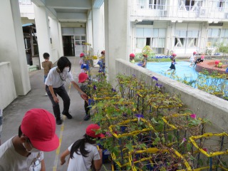 IMG_1251.JPG