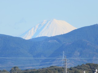 IMG_6397
