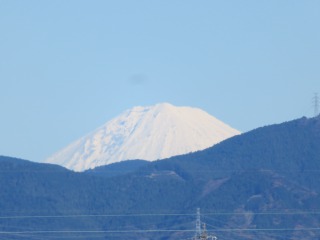 IMG_6499