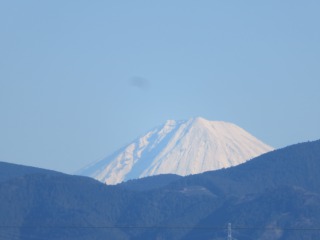 IMG_7455